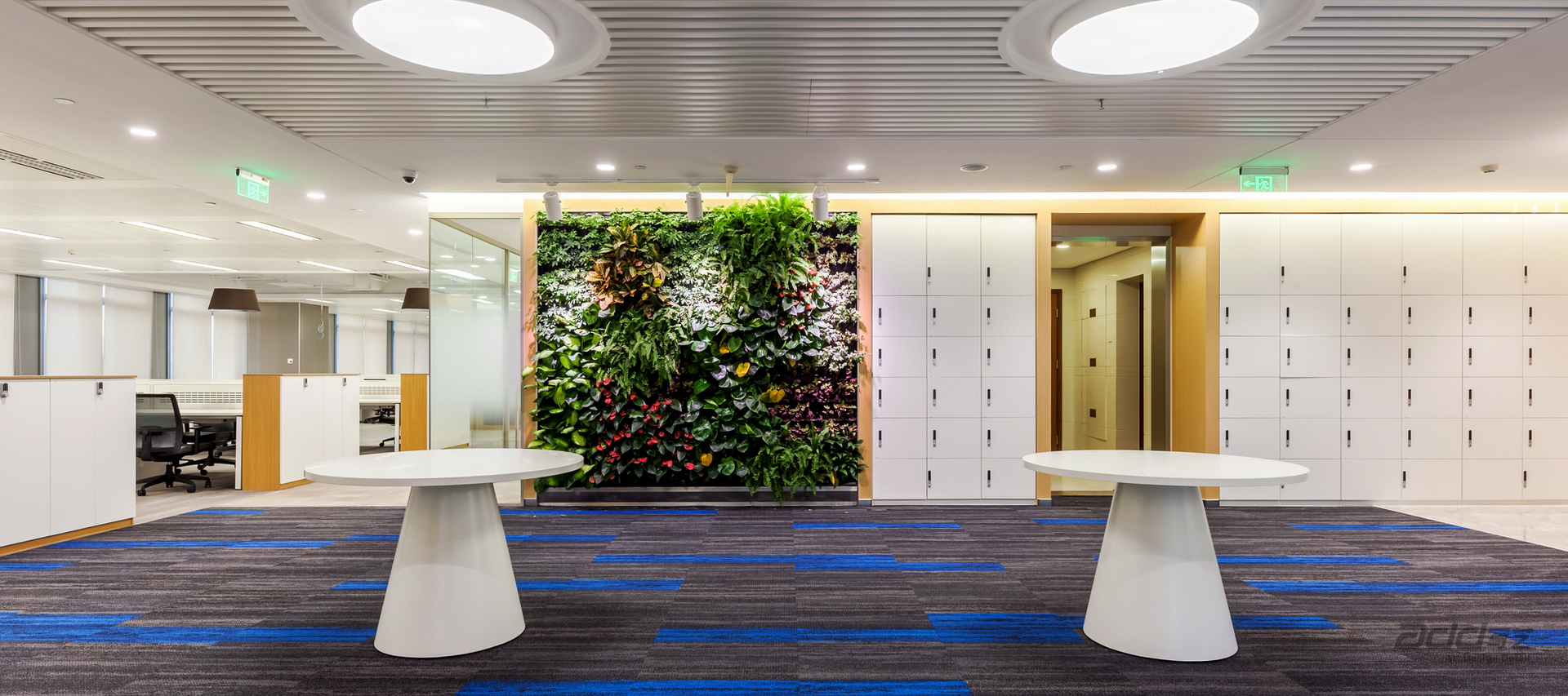 德(dé)邦證券辦(bàn)公(gōng)室裝(zhuang)修-綠植牆-pc